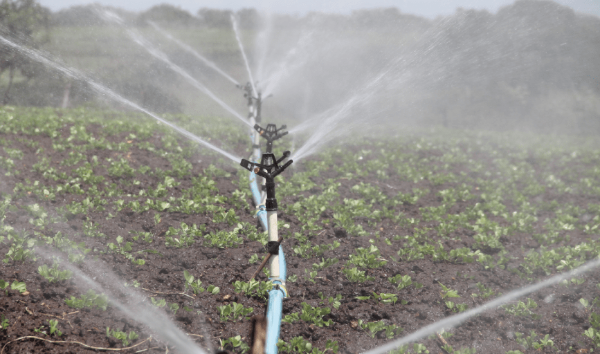 Drip Irrigation Installation